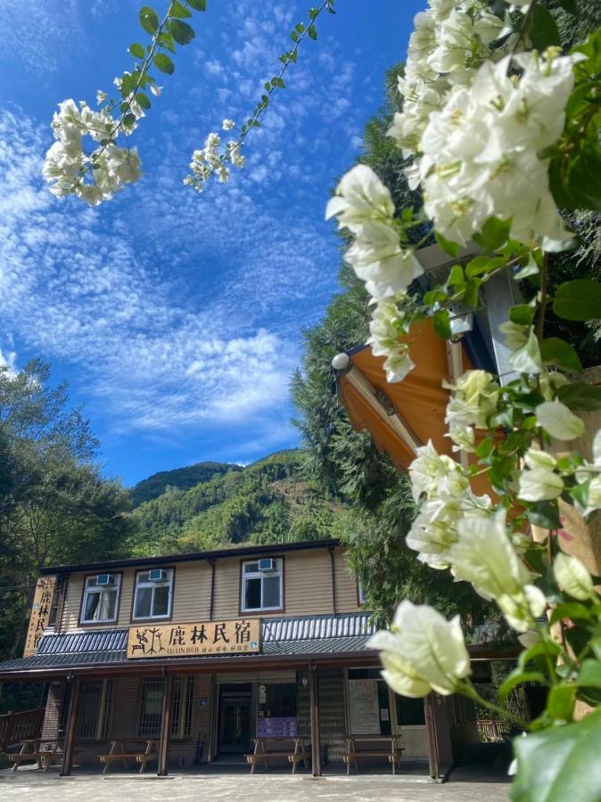 Lu-Lin B&B Wufeng  Exteriér fotografie